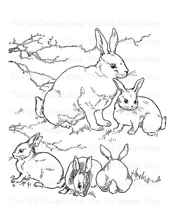 Rabbit clipart ink saver printable for junk journal cardmaking supply vintage bunny graphics mercial use digital download jpg and png