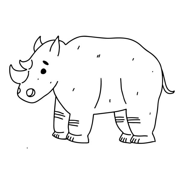 Rhino drawing stock illustrations royalty