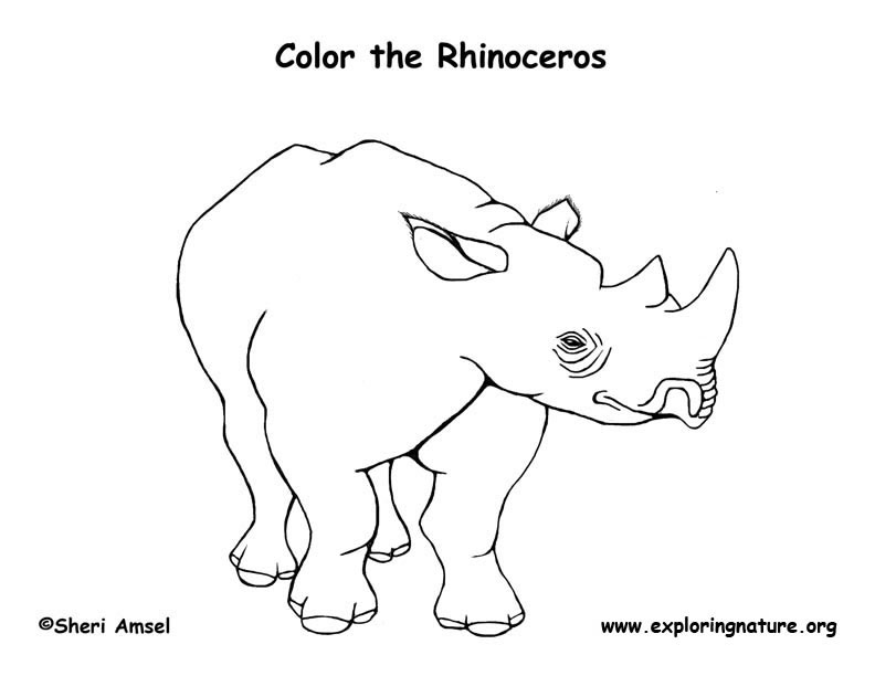 Rhinoceros coloring page