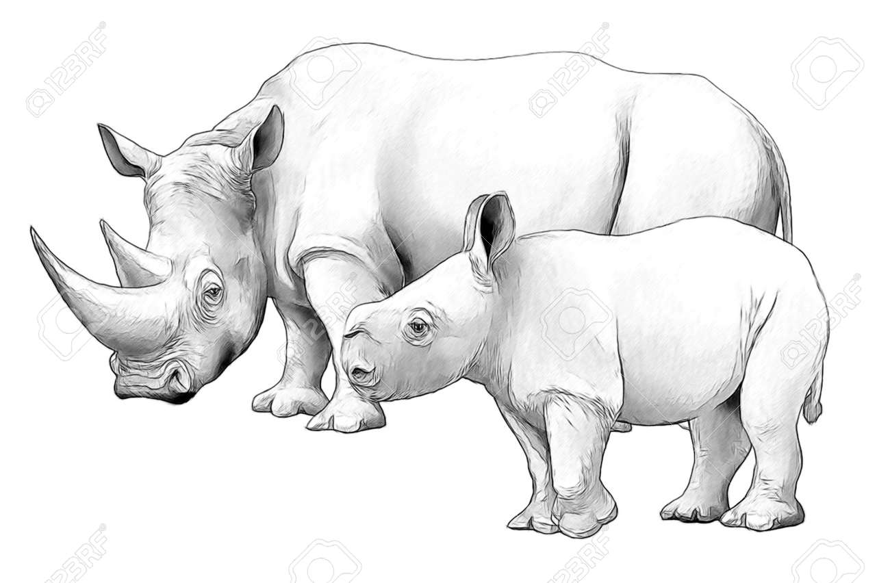 Cartoon scene with rhinoceros safari animal coloring page illustration for children stock photo picture and royalty free image image