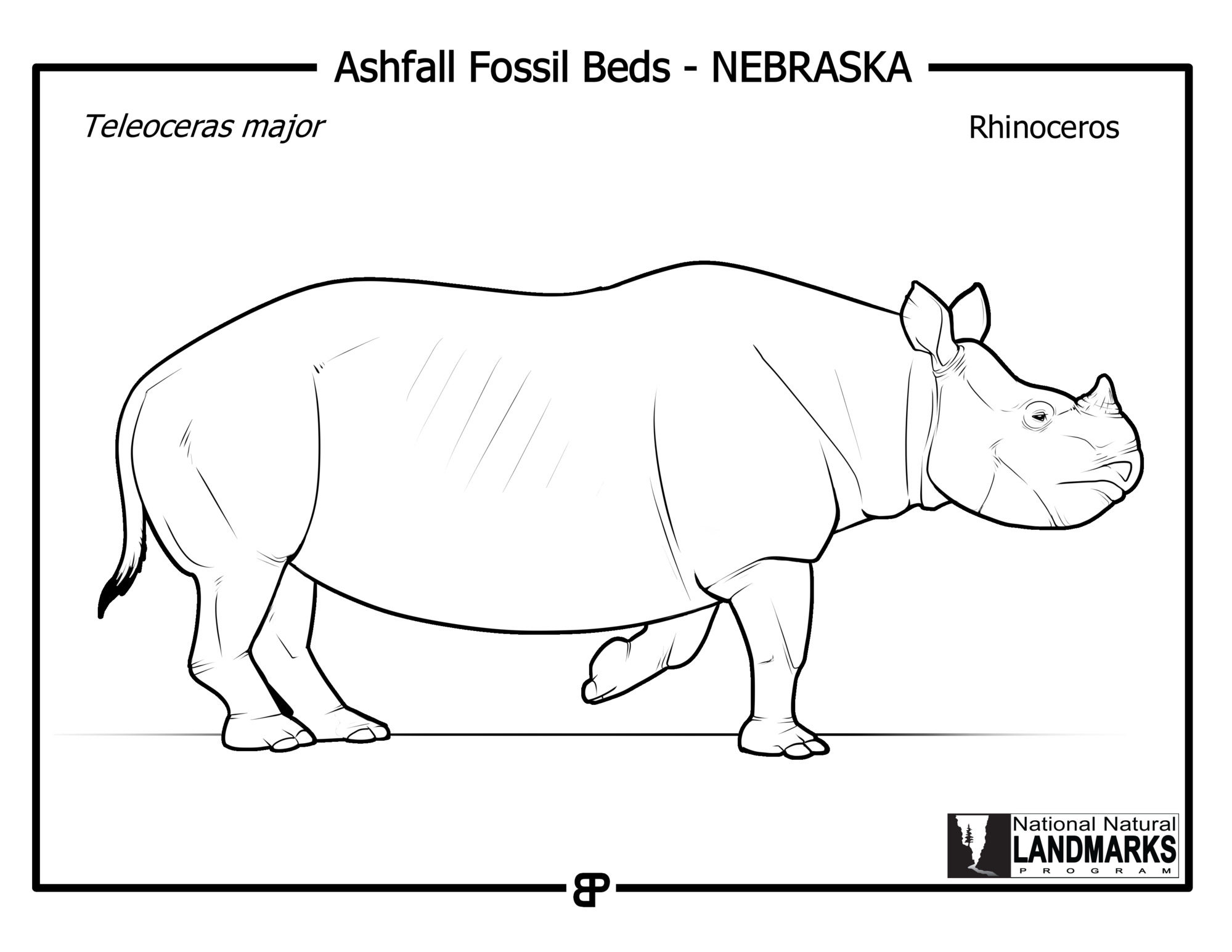 Asset detail