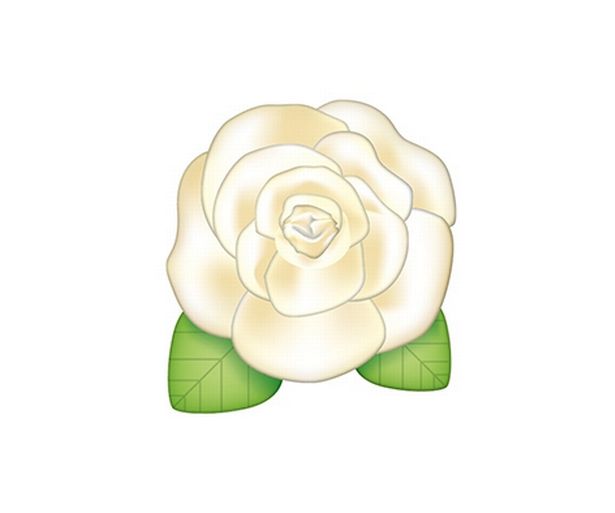 Yorkshire day plusnet reveal the new yorkshire