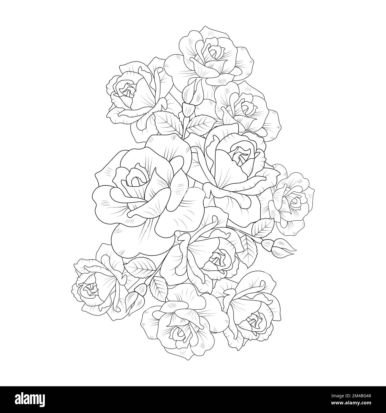 Rose line hi