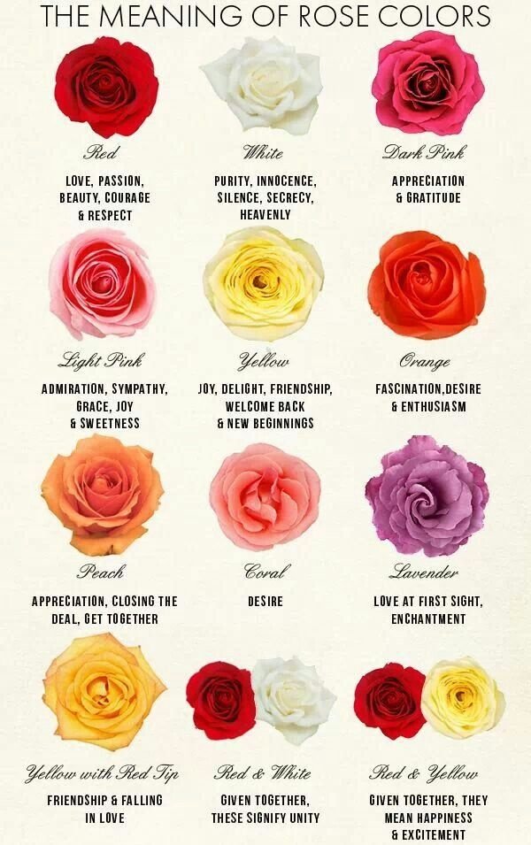 Is it inappropriate to give someone red and white roses