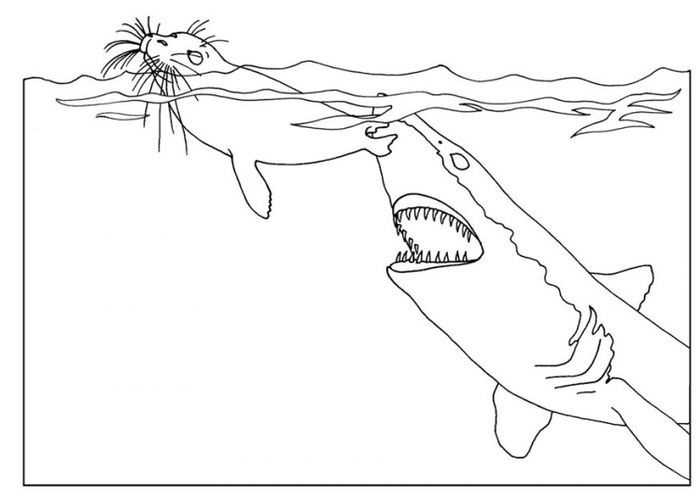 Hungry shark coloring pages shark coloring pages shark pictures sharks for kids