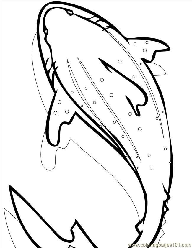 Shark coloring pages printable for free download