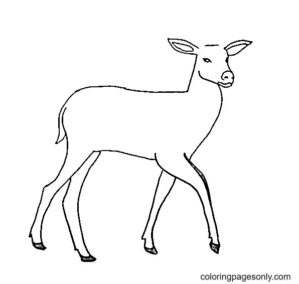 Deer coloring pages printable for free download
