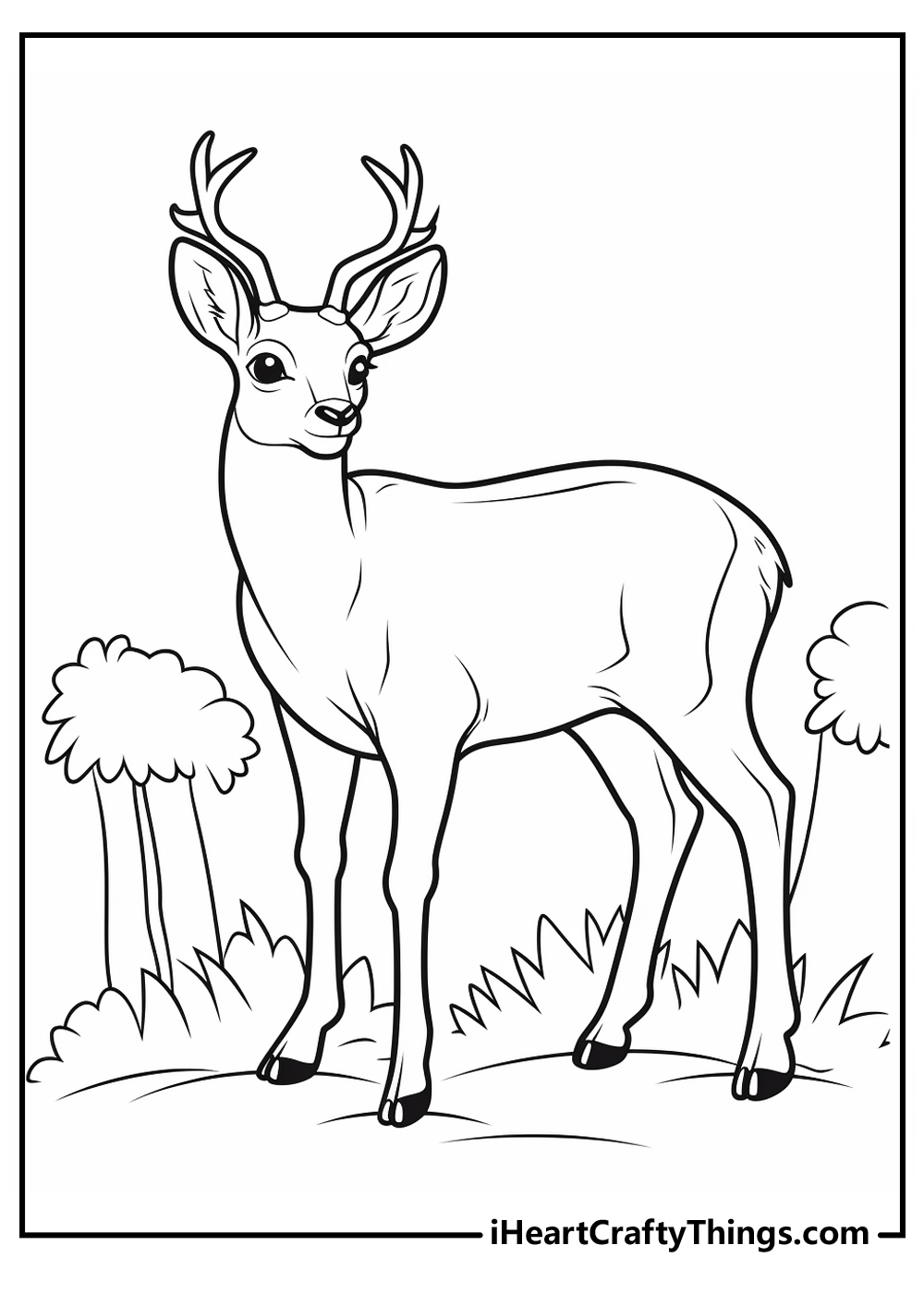 Deer coloring pages free printables