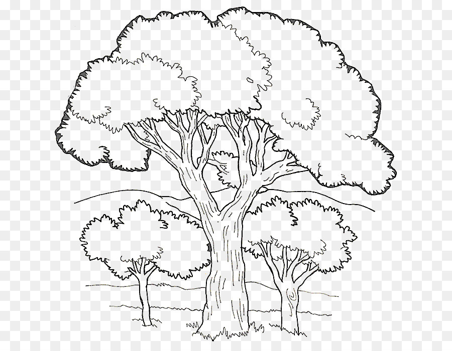 School black and white png download