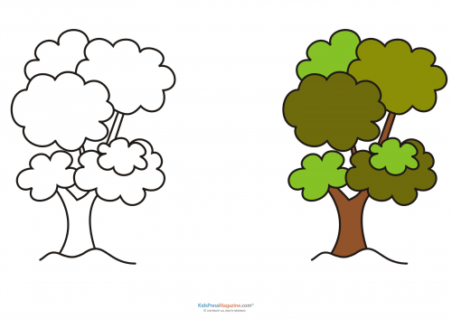 Match up coloring pages â tree