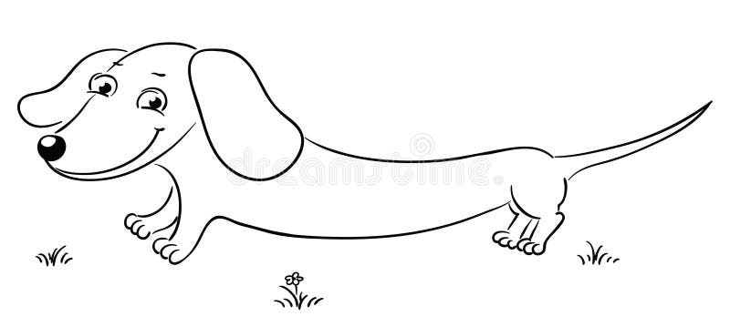 Dachshund colouring stock illustrations â dachshund colouring stock illustrations vectors clipart