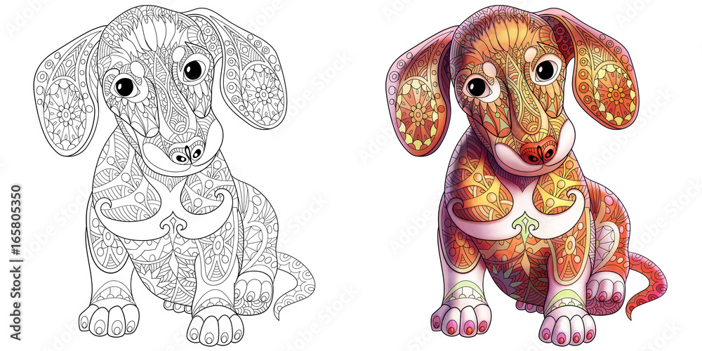 Coloring book page of dachshund puppy dog monochrome and colored samples freehand sketch drawing for adult antistress colouring with doodle and zentangle elements vector
