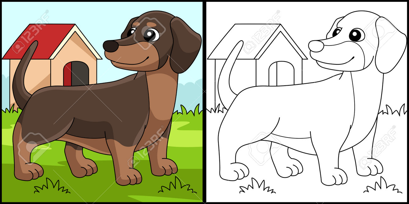 Dachshund dog coloring page colored illustration royalty free svg cliparts vectors and stock illustration image