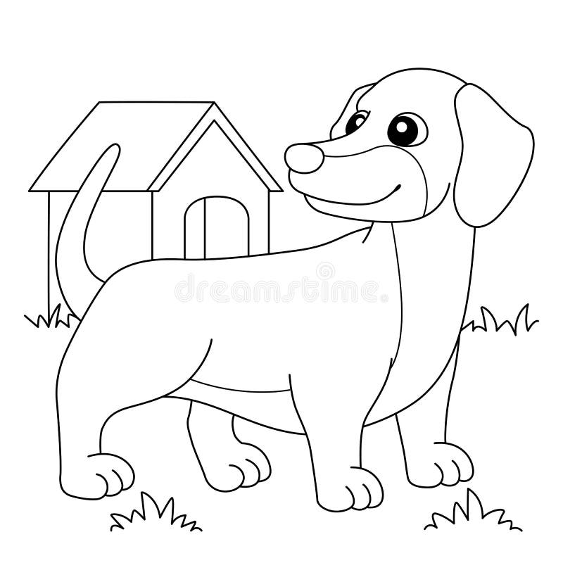 Dachshund colouring stock illustrations â dachshund colouring stock illustrations vectors clipart