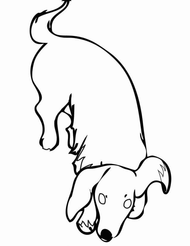 Dachshund dog coloring page