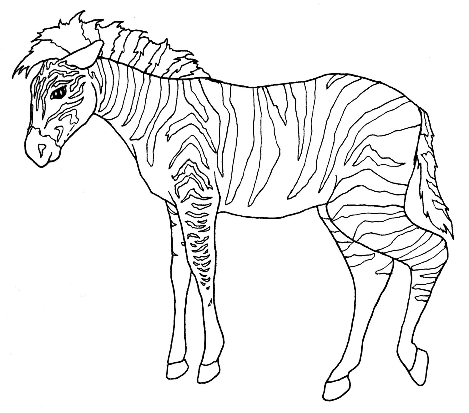 Digital download zoo animal adult coloring book pages wild animal color in digital adult coloring pages animal themed adult coloring art