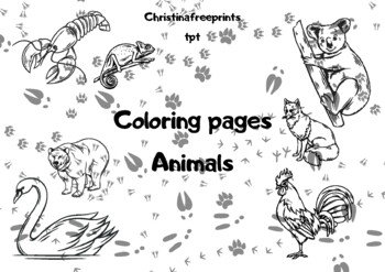 Wild animal coloring tpt