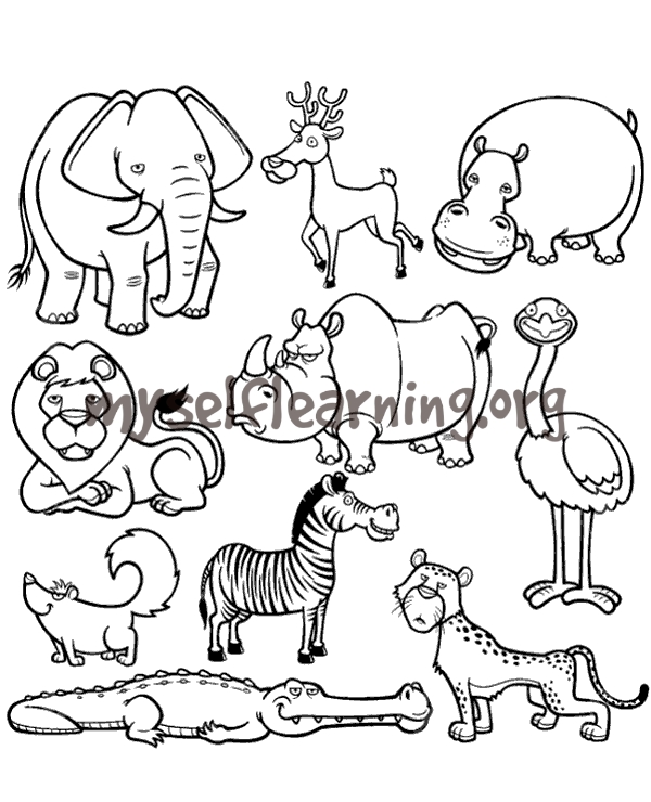 Animals coloring sheet instant download