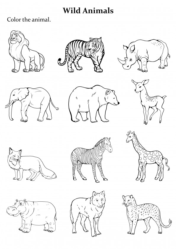 Pages with wild animals for coloring
