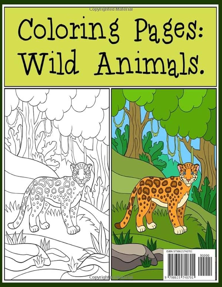 Coloring page wild animals kids coloring books animal coloring book mruf aviator books
