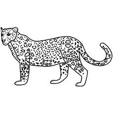 Top free printable wild animals coloring pages online