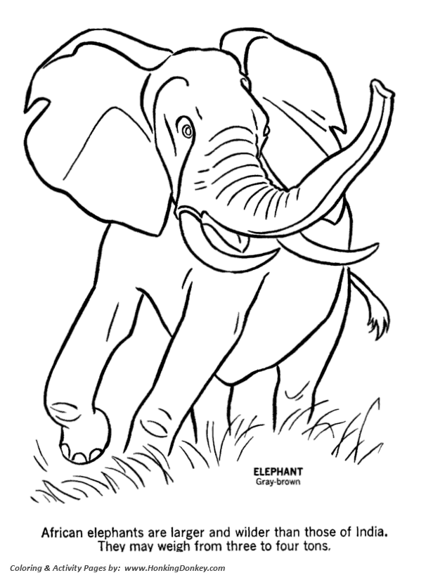 Wild animal coloring pages wild elephant coloring page and kids activity sheet