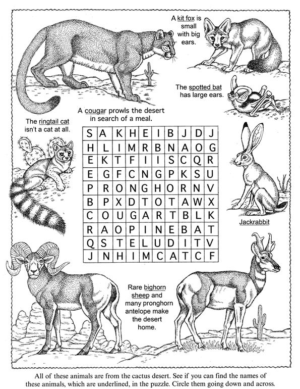 Animals animal activities endangered animals activities school games for kids