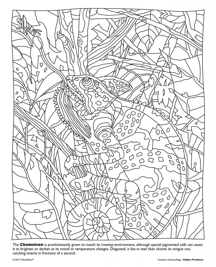 Wild animals worksheets printables for kids aecc aeabfee animal coloring pages coloring pages nature printable coloring book