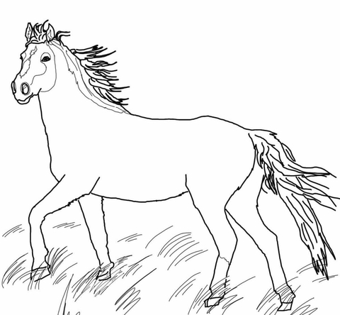 Mustang wild horse coloring page free printable coloring pages