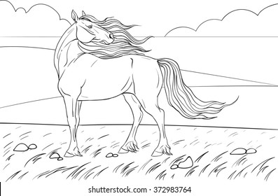 Coloring book horse background stock vector royalty free
