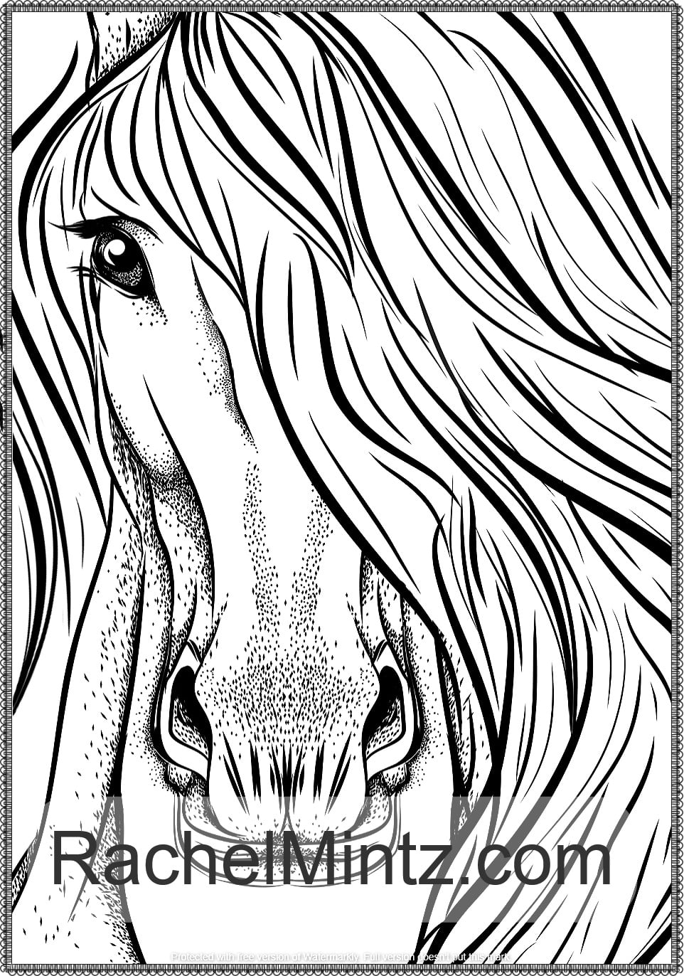 Noble horses