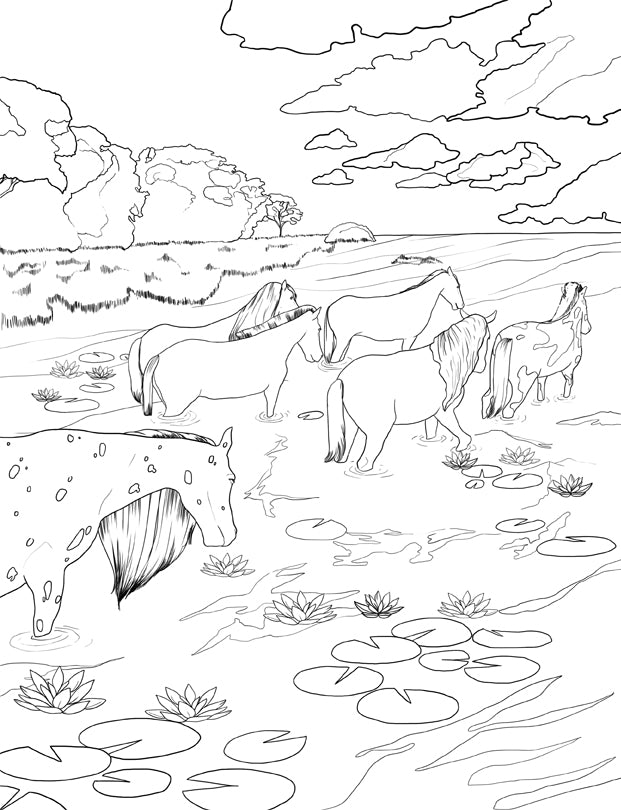 Horse coloring book for kids ages