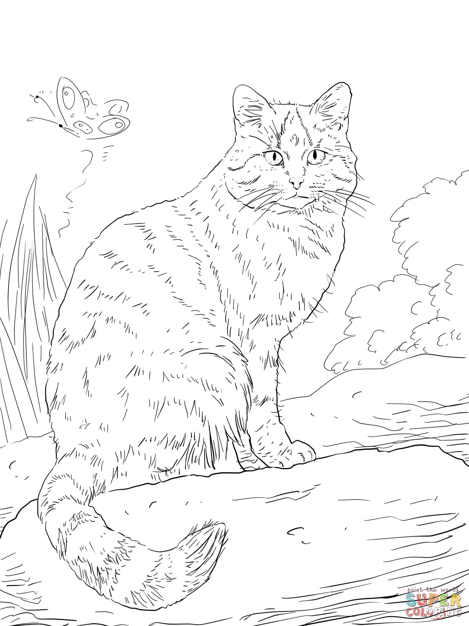 European wild cat coloring page free printable coloring pages