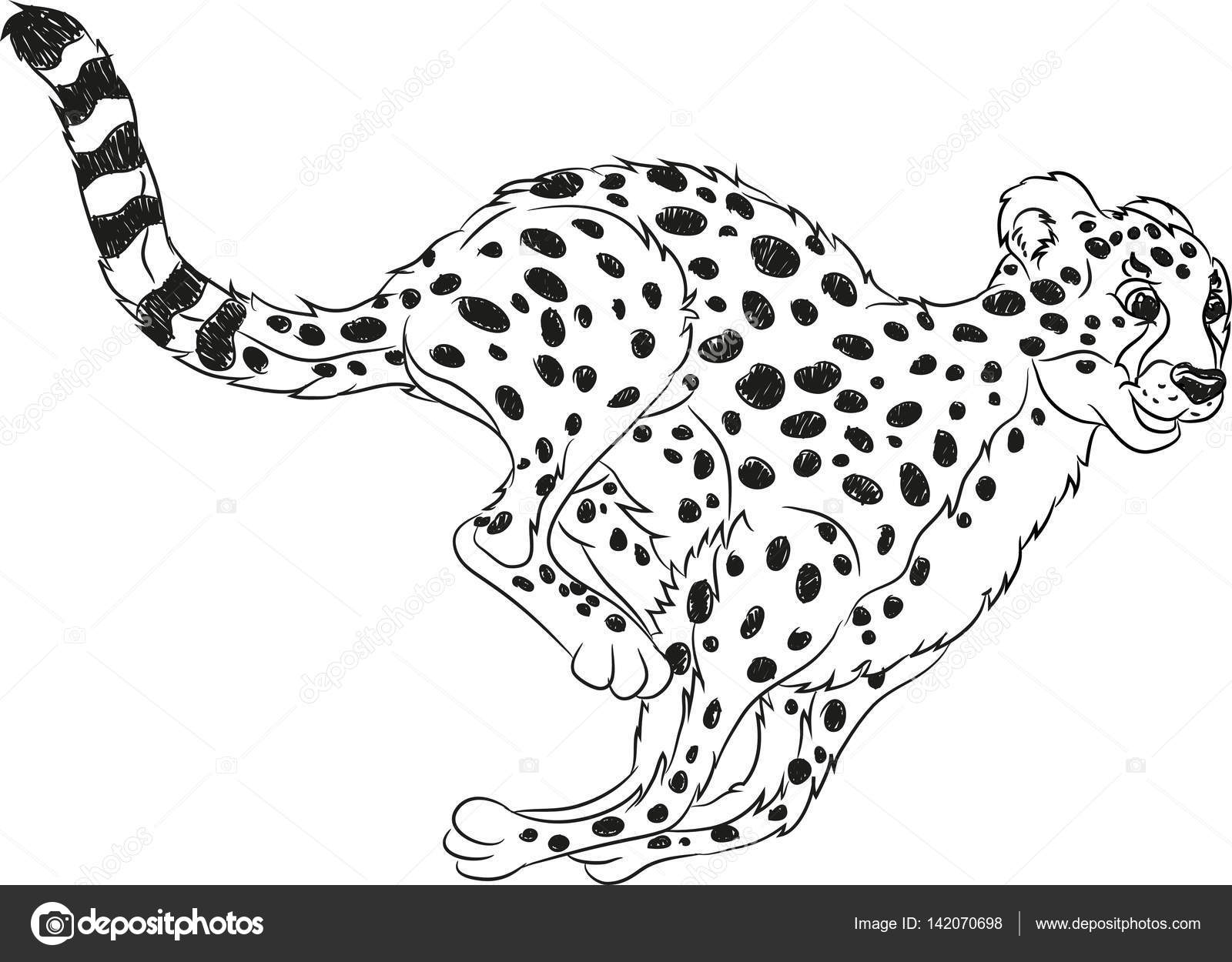 Running wild cat coloring page stock illustration by agaes