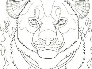 Wild cat coloring pages archives