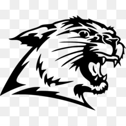 Wildcat coloring pages png