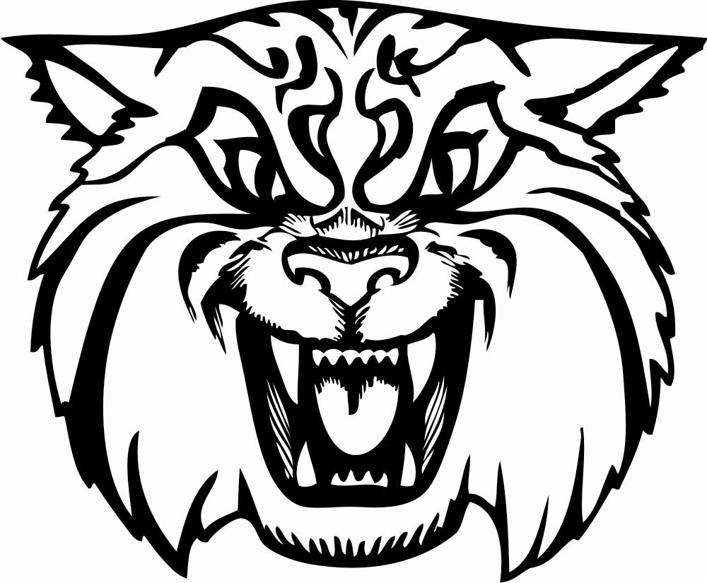 Wild cat colouring pages