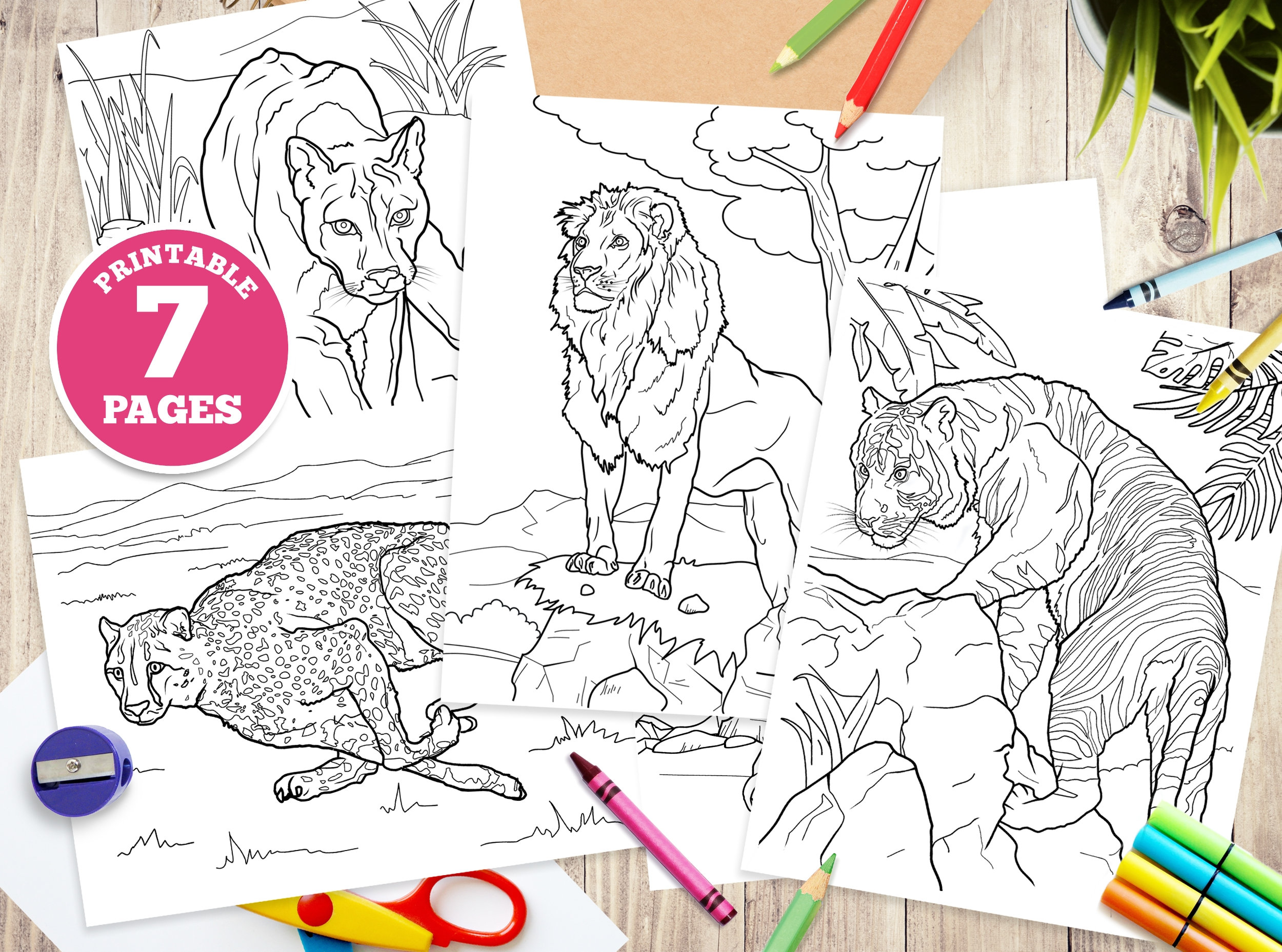 Printable coloring pages for kids big cats unique illustrations instant download digitalpdf lion puma tiger cheetah animals cat instant download