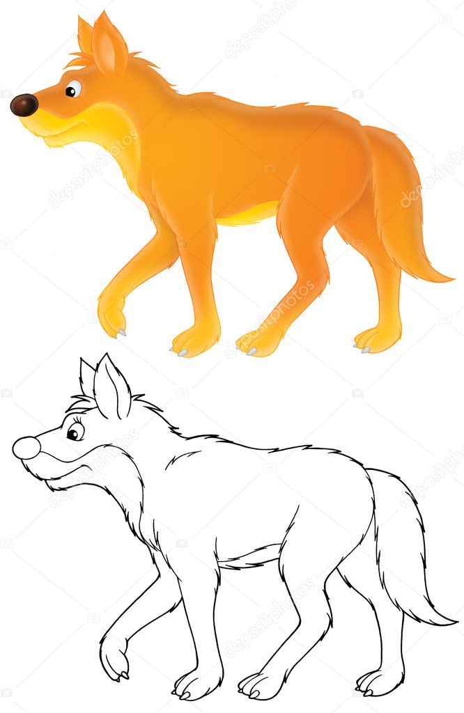 Wild dog dingo stock illustration by alexbannykh