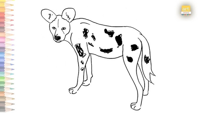 Drawing the african wild dog