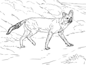 Wild dogs coloring pages free coloring pages