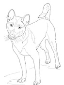 Wild dogs coloring pages free coloring pages