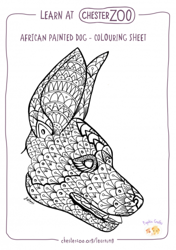 Colouring sheet