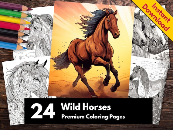 Wild horses adult coloring pages majestic horse designs