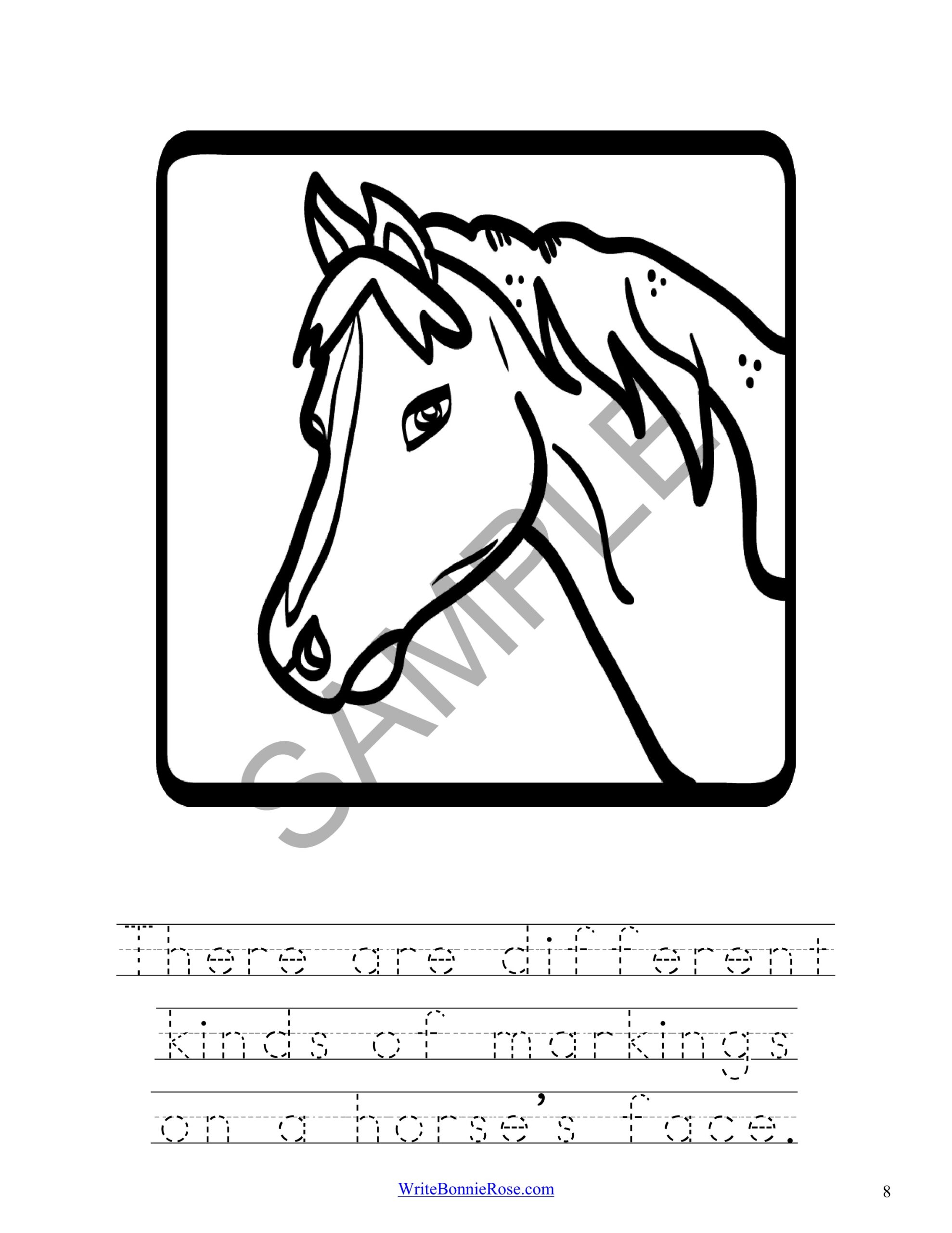 Learning about horses coloring book