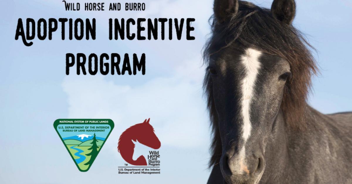 Adoption incentive program bureau of land management