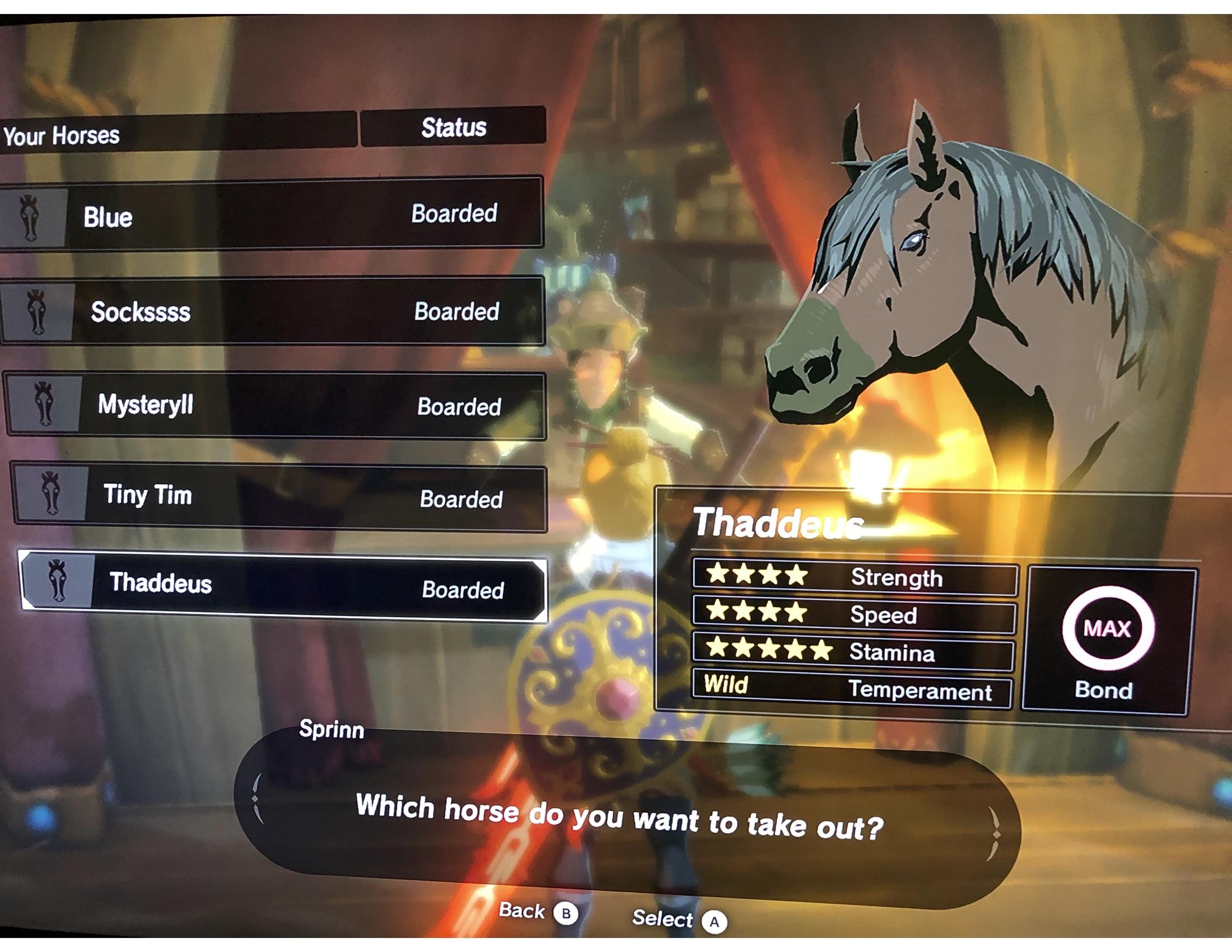 So i found a horse in the taobab grasslands with awesome stats meet thaddeus the champ resubmitted wpicture rbreathofthewild