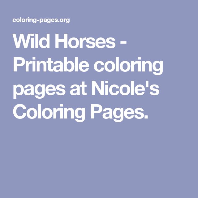 Wild horses