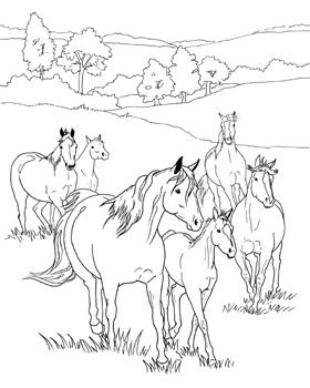 Coloring pages horse coloring pages horse coloring coloring pages