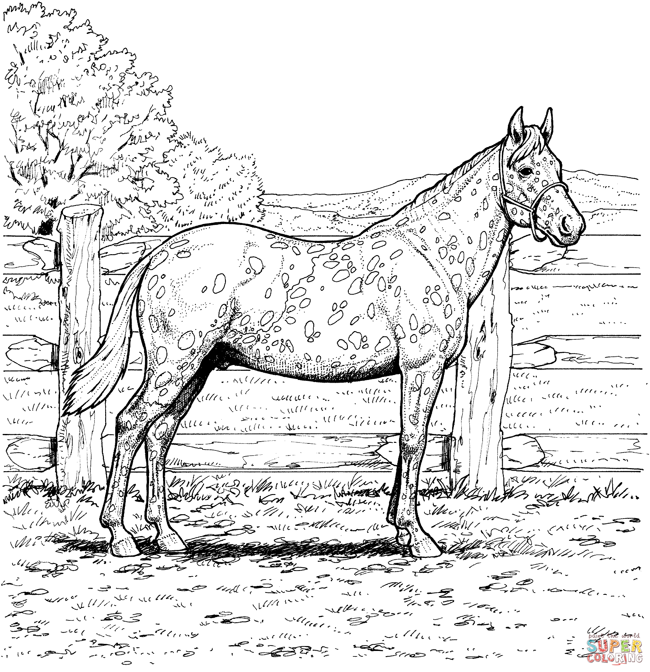 Realistic wild horse coloring pages